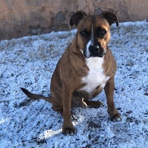 Meet your Posher, Cielo